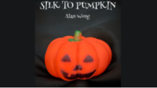 Silk To Pumpkin by Alan Wong