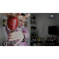 Silk Trip by Gustavo Raley