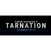 Simon Aronson'S Tarnation by John Bannon