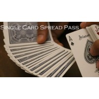 Single Card Spread Pass by Vivek Singhi