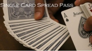 Single Card Spread Pass by Vivek Singhi