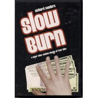Slow Burn by Richard Sanders
