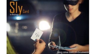 Sly Card by Bboymagic