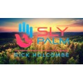 Sly Palm by Rick Holcombe Sly Palm by Rick Holcombe