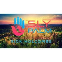 Sly Palm by Rick Holcombe