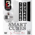 Smart Cubes Red by Taiwan Ben Smart Cubes Red by Taiwan Ben