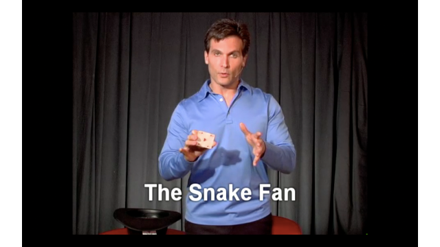 Snake Fan by Tony Clark