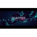 Snapper by Laurent Villiger Snapper by Laurent Villiger