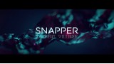 Snapper by Laurent Villiger