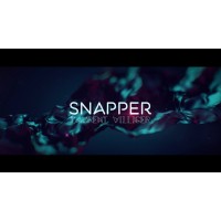 Snapper by Laurent Villiger