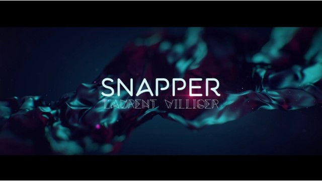 Snapper by Laurent Villiger