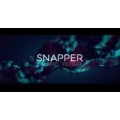 Snapper // Laurent Villiger Snapper // Laurent Villiger
