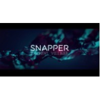 Snapper // Laurent Villiger