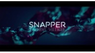 Snapper // Laurent Villiger