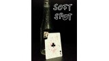 Soft Spot- Signed Corner In Glass Bottle by Ralf Rudolph