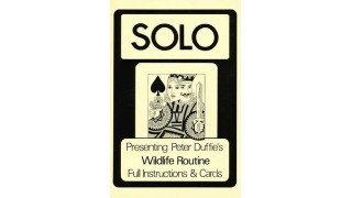 Solo by Peter Duffie