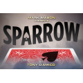 Sparrow by Tony D'Amico Sparrow by Tony D'Amico
