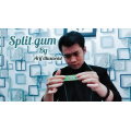Split Gum by Arif Illusionist Split Gum by Arif Illusionist