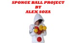 Sponge Ball Project by Alex Soza