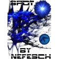 Spot Prediction by Nefesch Spot Prediction by Nefesch