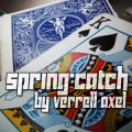 Spring-Catch by Verrell Axel Spring-Catch by Verrell Axel