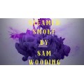 Steamed Smoke by Sam Wooding Steamed Smoke by Sam Wooding