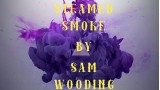 Steamed Smoke by Sam Wooding