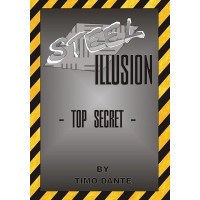 Steel Illusion (German) by Timo Dante
