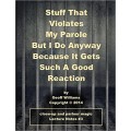 Stuff That Violates My Parole Notes by Geoff Williams
