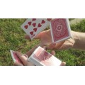 Sugar Packets by Vinney Margot Sugar Packets by Vinney Margot