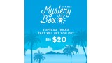 Summer Mystery Box 2019 by Sansminds