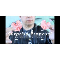 Surprise Proposal by Patricio Teran