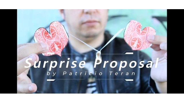 Surprise Proposal by Patricio Teran