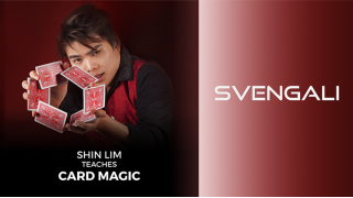 Svengali by Shin Lim