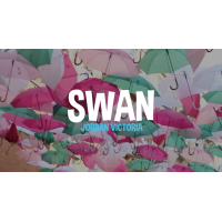 Swan by Jordan Victoria