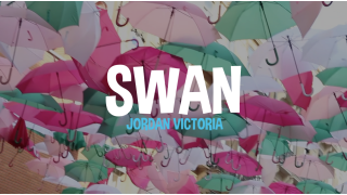 Swan by Jordan Victoria