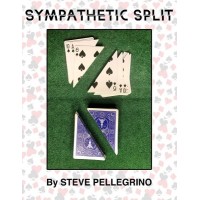 Sympathetic Split by Steve Pellegrino