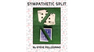 Sympathetic Split by Steve Pellegrino