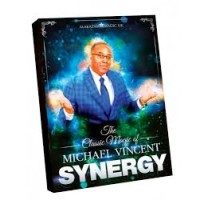 Synergy by Michael Vincent