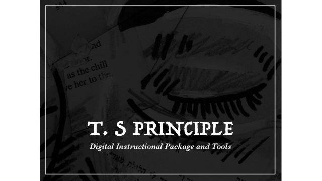 T.S Principle by Luke Jermay