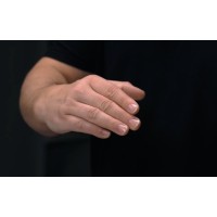 Technical Masterclass - Top Palm by Benjamin Earl