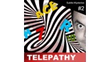 Telepathy - Subtle Mysteries #2 by Steve Fearson