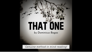 That One by Dominicus Bagas