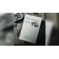 The Artist Who Lied by Ren X The Artist Who Lied by Ren X