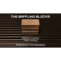 The Baffling Blocks by Alan Wong And Ashton Carter