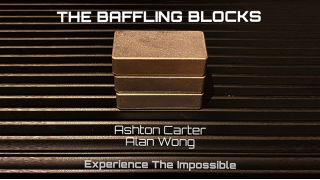 The Baffling Blocks by Alan Wong And Ashton Carter