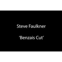 The Benzais Cut by Steve Faulkner