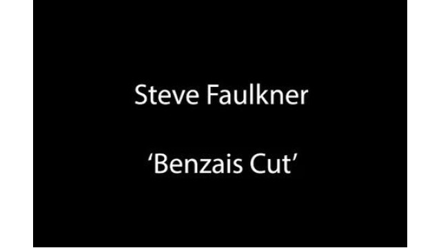 The Benzais Cut by Steve Faulkner