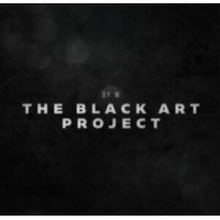The Black Art Project by Will Tsai