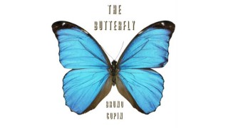 The Butterfly by Bruno Copin